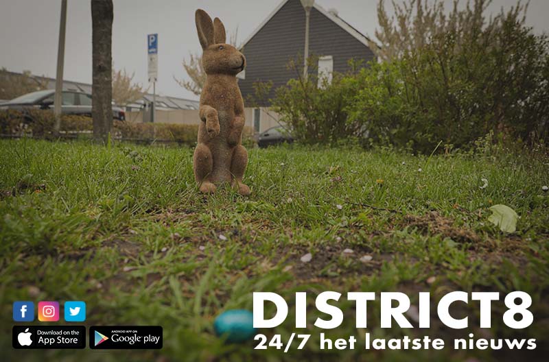 District8.net tweet media