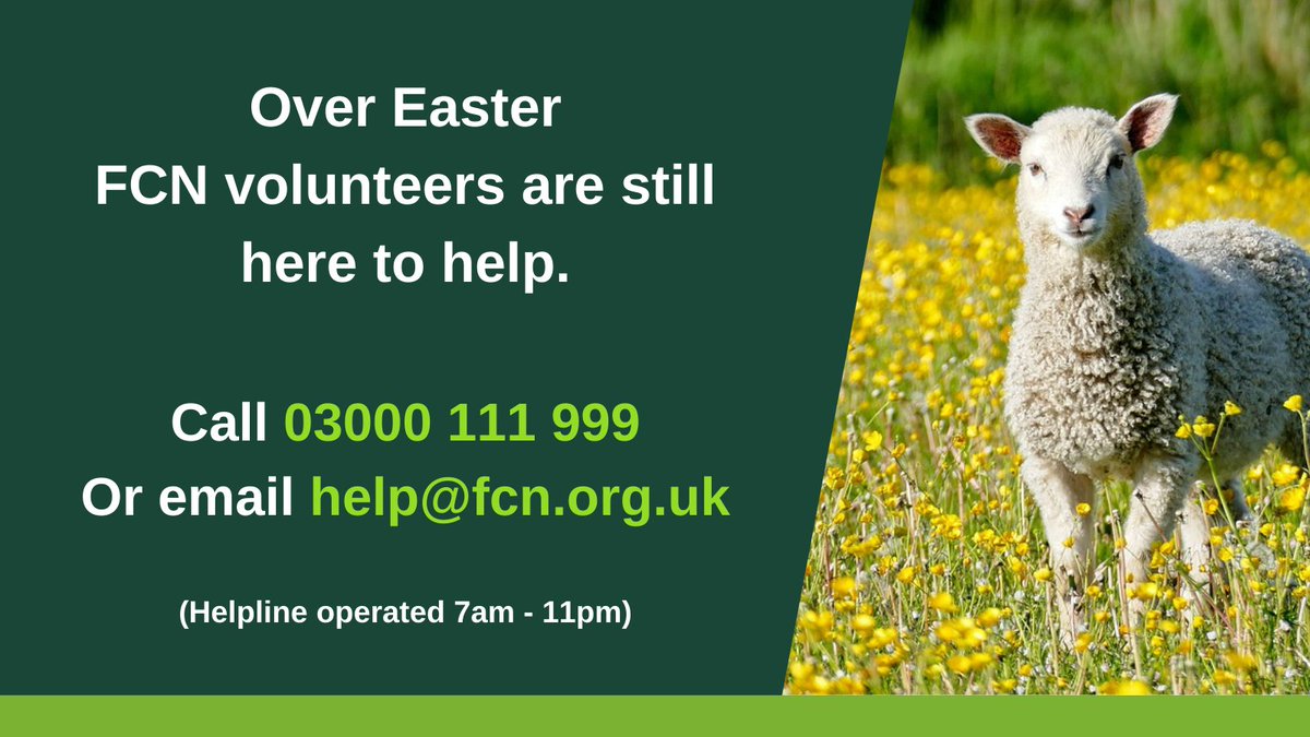 🥚 We wish you all a safe and restful Easter.

FCN volunteers are here to listen and support you, should you have any worries or concerns. Call FCN on 03000 111 999 or email help@fcn.org.uk.