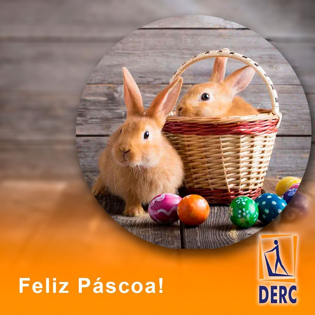DercSbc's tweet image. A Família DERC, deseja uma Feliz Páscoa a todos!

#sbcderc #sbc #derc #coração #cardiologia #ergometria #esporte #reabilitação #saúde #coronavírus #covid19 #festas #natal #fimdeano