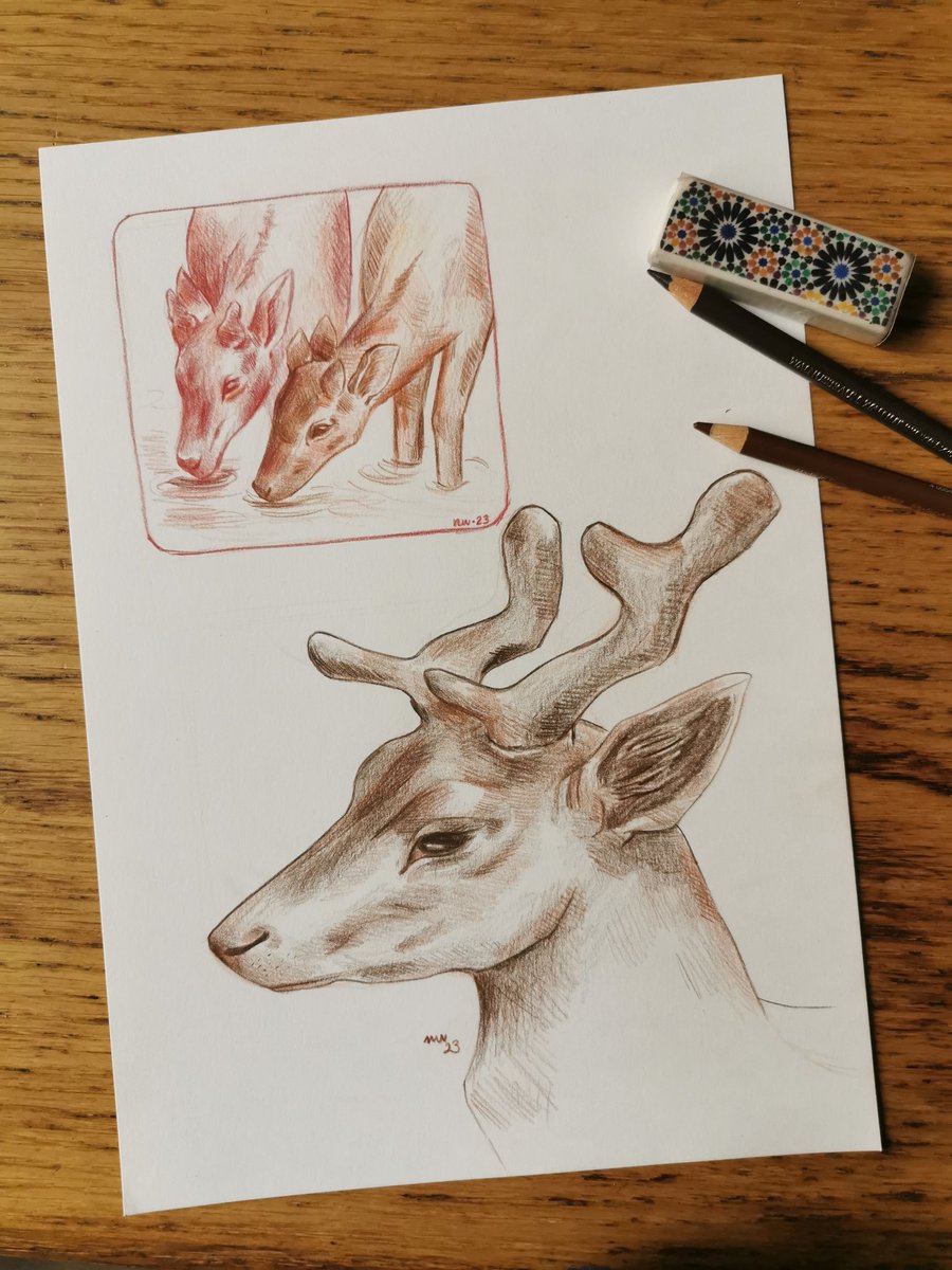 more pencils studies