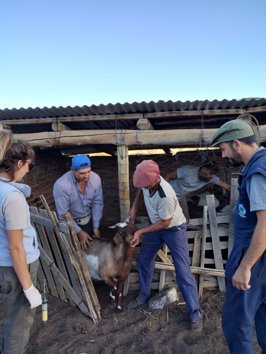 Mery_FederalyPo's tweet photo. #AhoraMasQueNunca
📍 Ayer recorrimos puestos de Punta del Agua con el equipo del @CEA_Agro luego del compromiso asumido.
📍Hablando con las y los productores, vemos que las necesidades de caminos, conectividad, salud, educación son un denominador común en la zona. https://t.co/vqOzr3Hkt9