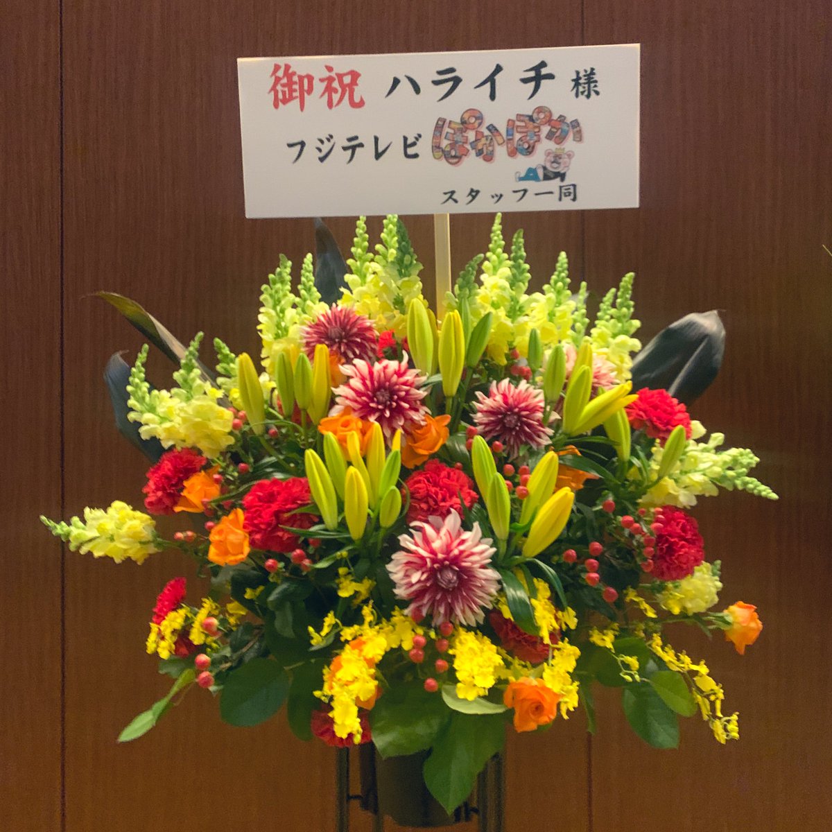 oden15791819's tweet image. 最高な日曜日！明日のぽかぽか楽しみ〜〜
#ぽかぽか #ワタナベお笑いNo1決定戦2023