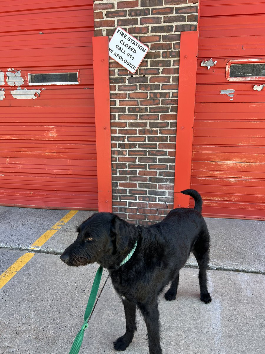 FireSafe Corp tweet media