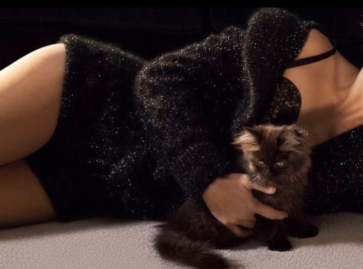 ᅠ
ᅠ

⠀⠀   𝓢ℯ𝓁𝒾𝓃𝒶 𝓚𝓎𝓁ℯ
 
⠀⠀   jewel thief. cat mom.
         bat lover. mdni. ms/mv.
⠀⠀   ships with heavy* chemistry.
         she/her. 21+. (n)sfw.
⠀ᅠ
ᅠ⠀