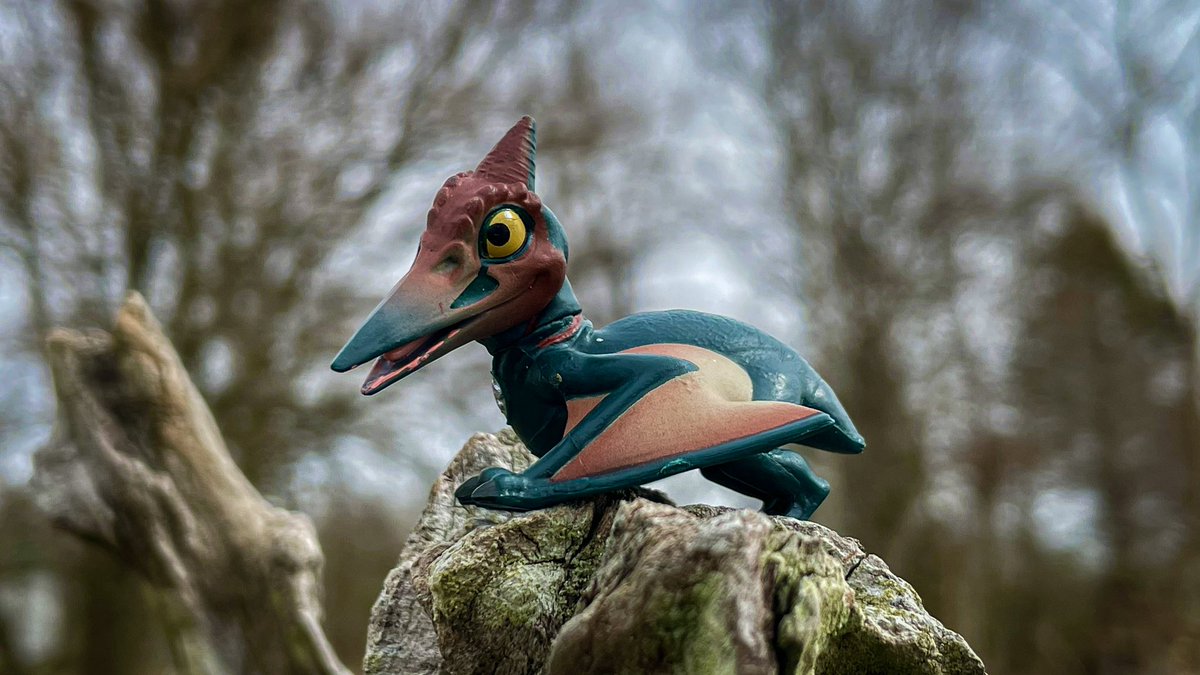 CollectorPaleo's tweet photo. Spring Chick
(Happy Easter!)
#Captivz #ToyMonsterInternational #PlaywisePartners #JurassicWorld #JurassicPark https://t.co/qETG2Hl6Z9