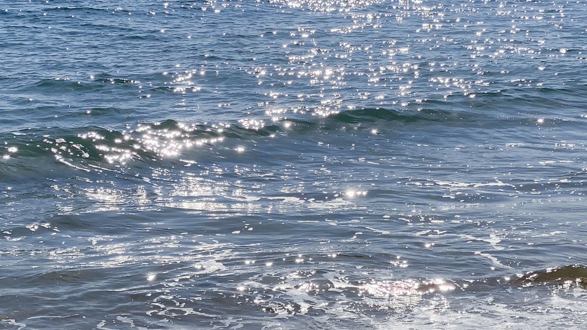 이날 바다 진짜 예뻤구나..