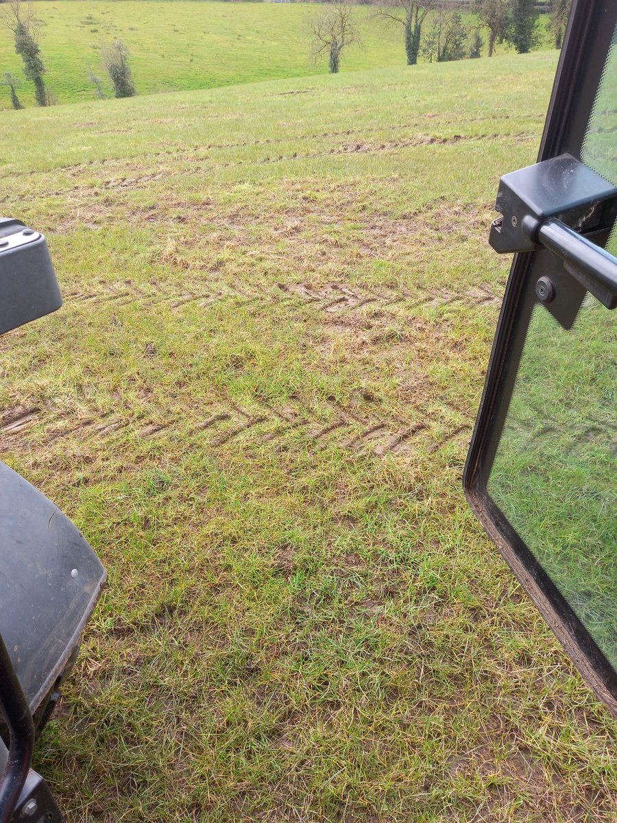 RobertG14094112's tweet image. #LeatherJackets in a 2 year old reseed. The problem is easy the solution.....unknown 🤷‍♂️ #cafre #afbi