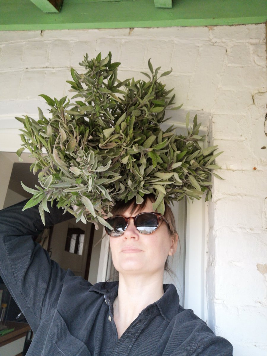 piprowson's tweet image. Sunday selfie with sage