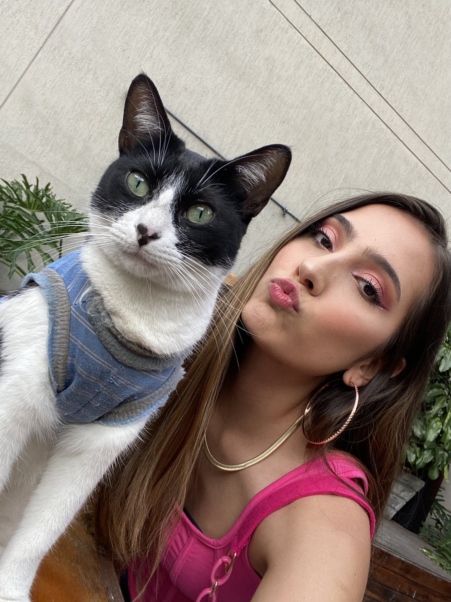 El gato de Don tiene una mancha con forma de corazón en la nariz 🥰❤️