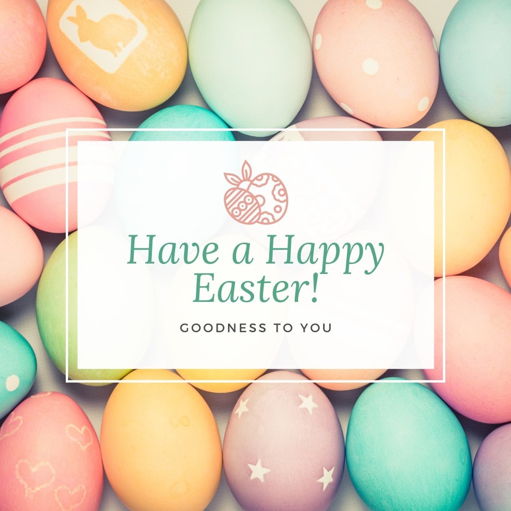 WashingtonPDent's tweet photo. Happy Easter! 🐣🐰 https://t.co/29alYS1F5G