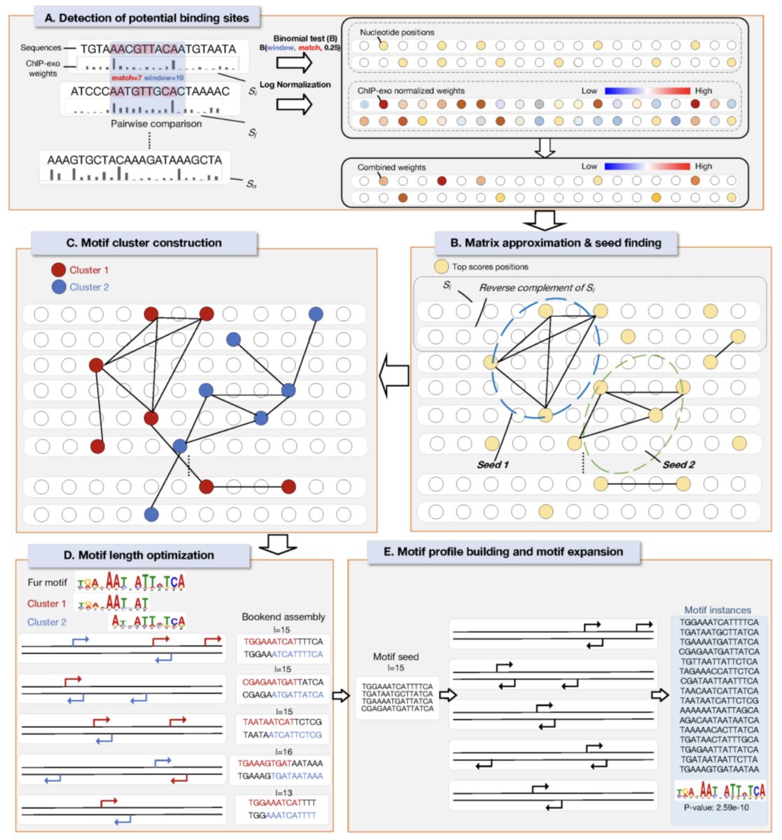 razoralign's tweet photo. TESA: A Weighted Two-stage Sequence Alignment Framework to Identify DNA Motifs from ChIP-exo Data https://t.co/rARv7g1aDo https://t.co/3tx6W2fPYq