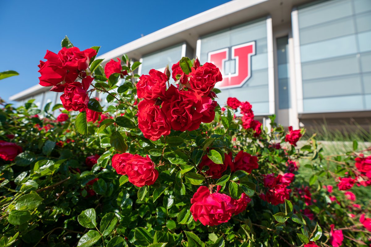 Taylor Randall, UofU President tweet media