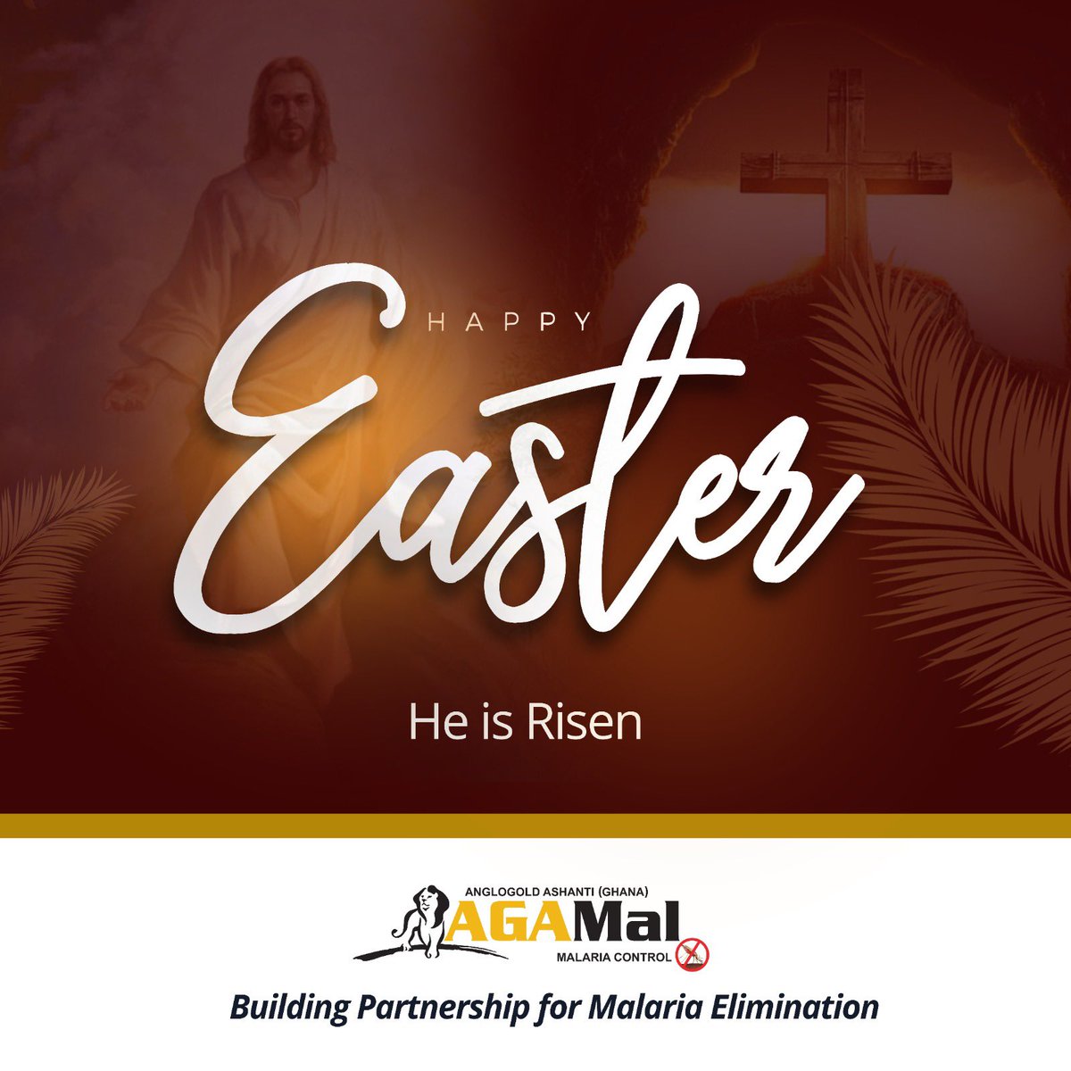 AngloGold Ashanti Malaria Control tweet media