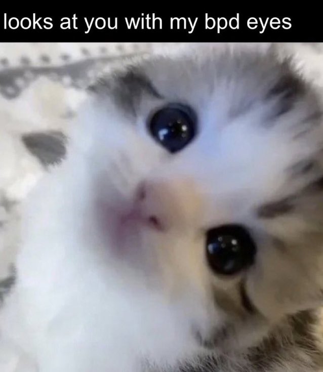 northstardoll's tweet image. 