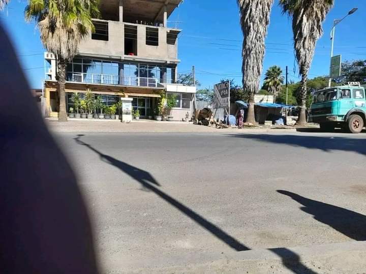 ጠቅላይ ሚንስትሩ ጉራጌ ወልቂጤ በመጡ ጊዜ ለምን ቤት ተቀመጣቹ በሚል 40 የሚደርሱ የንግድ ተቋማት ላይ የእግድ ትዛዝ በመቃወም የተጠራውን የሁለት ቀን አድማ ተከትሎ የአገልግሎትና የንግድ ተቋማት ዝግ ሆነዋል።