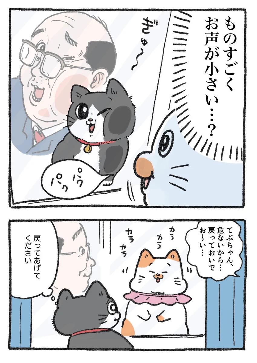 やじま@ねこおじ7・8巻発売中🐱 on X: 