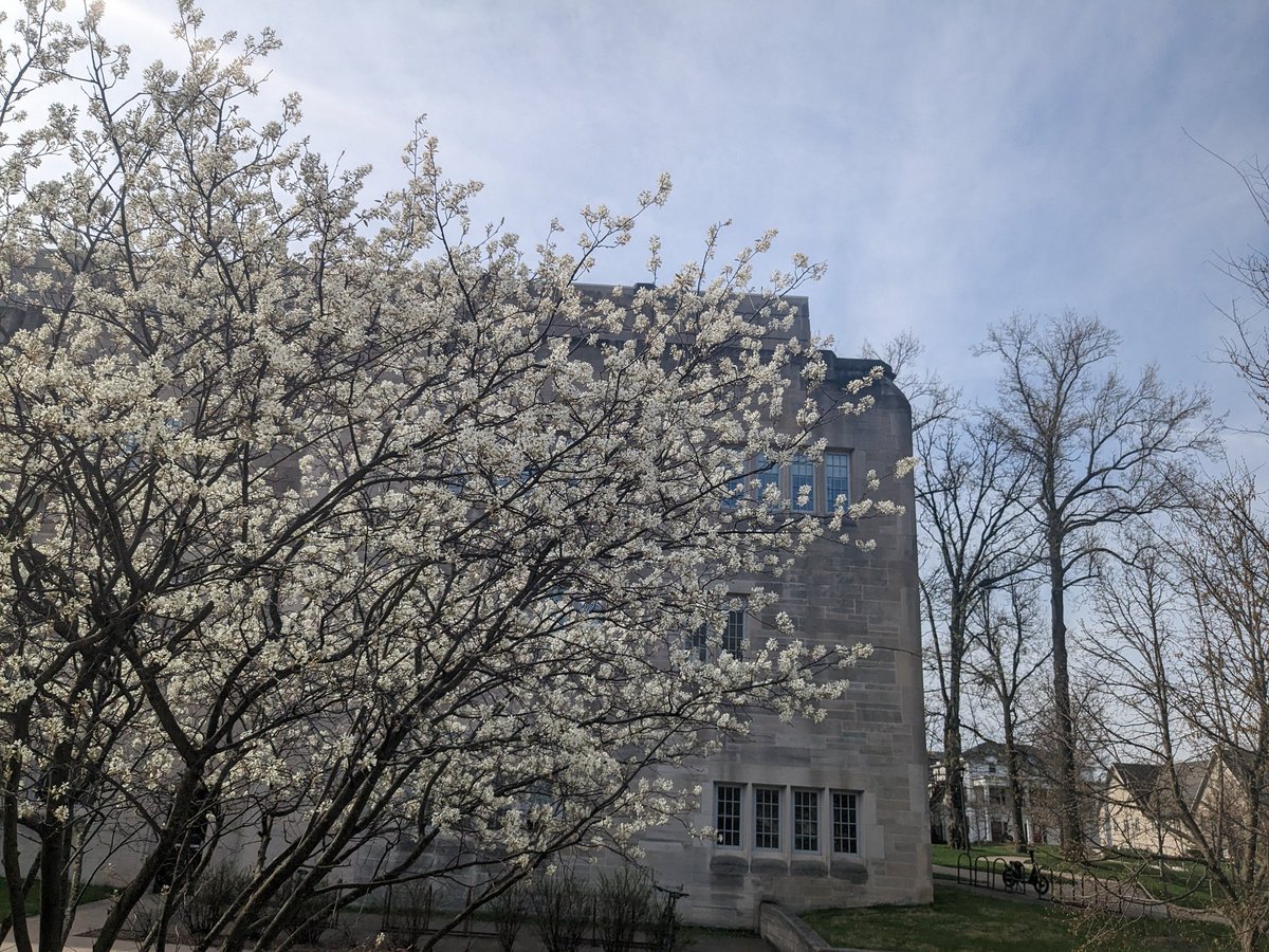 iam_shef's tweet photo. When beautiful blossoms around the campus welcome you to work !!! @IUBiology @IUBloomington @IUgradschool @VisitBtown
#spring #visitbloomington #springishere #blossoms #iubloomington #springmornings #springwalks #campuswalks https://t.co/pZ6FfFmffZ