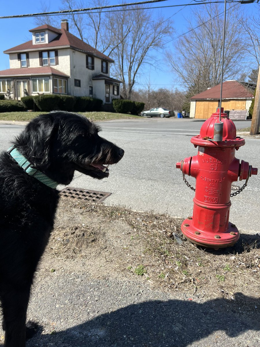 FireSafe Corp tweet media