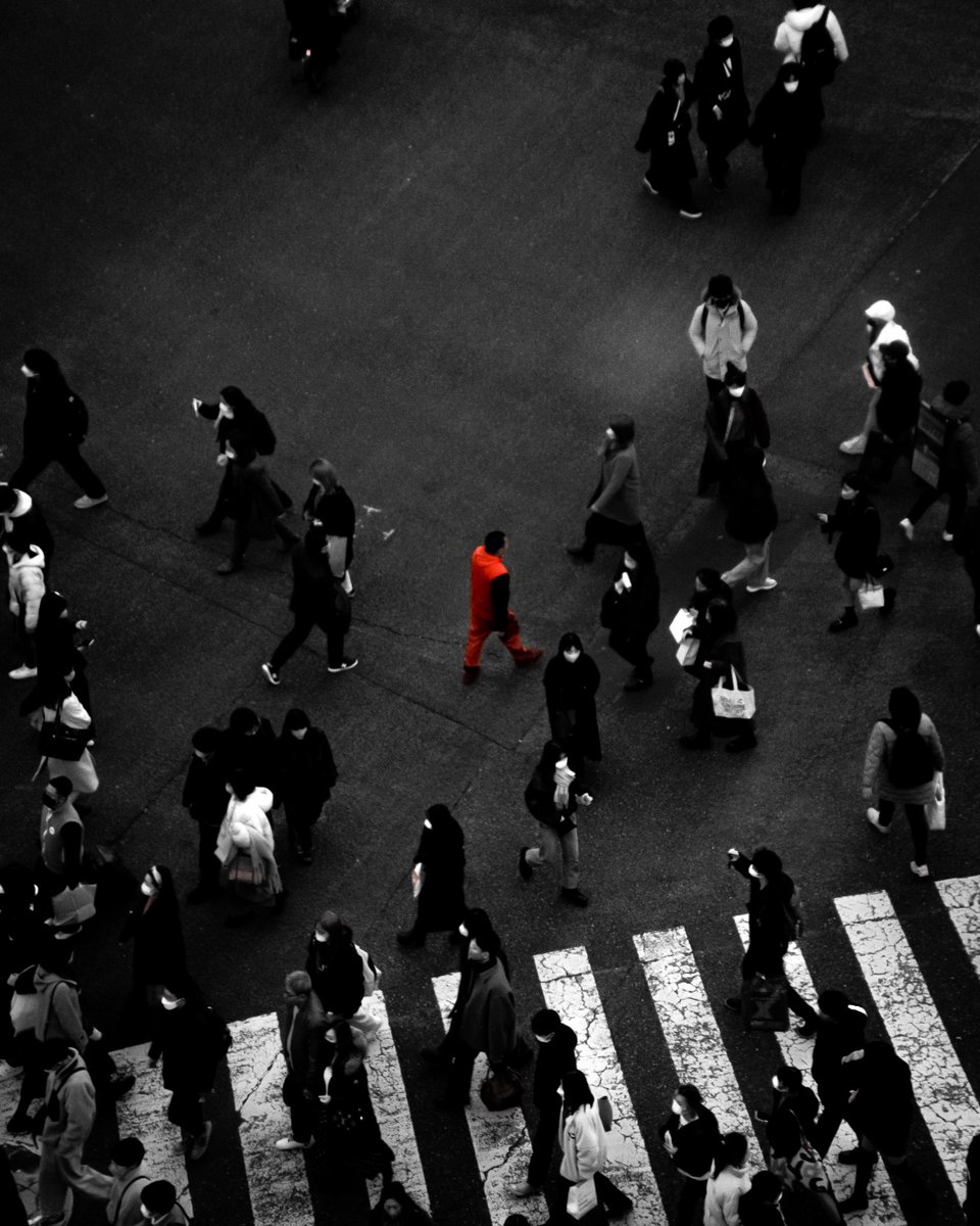 Orange thing crossing 🟠🚸

— Shibuya Crossing

#shibuyacrossing #shibuya #streetphotography