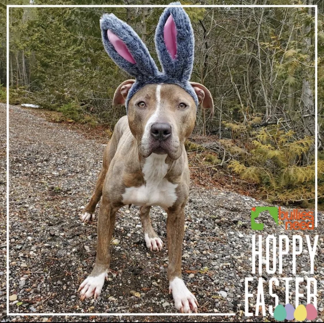 Happy Easter to those who celebrate! 🐰💐