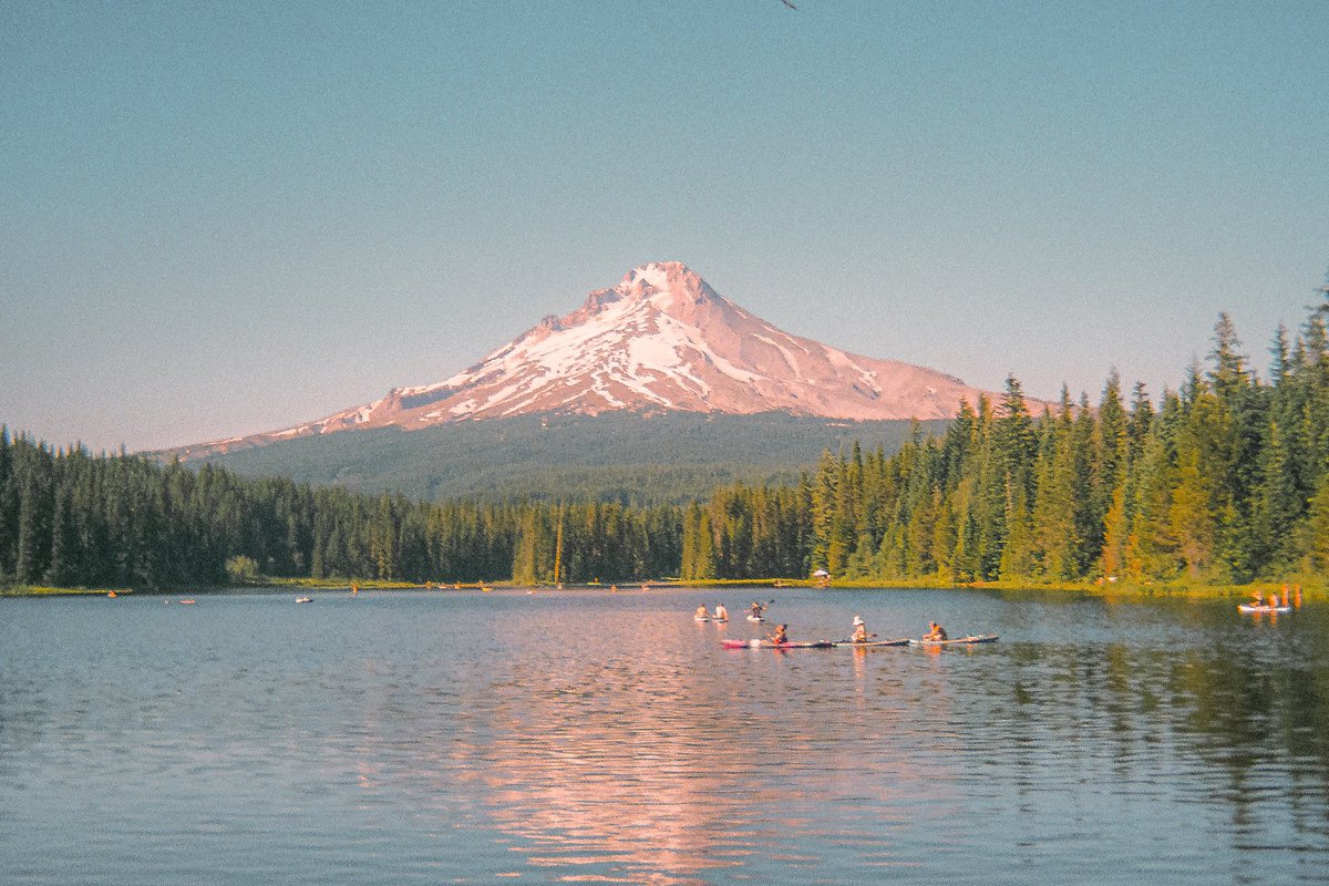 inthemeadow's tweet photo. photos taken on a kodak disposable https://t.co/v1M4SlTNTO