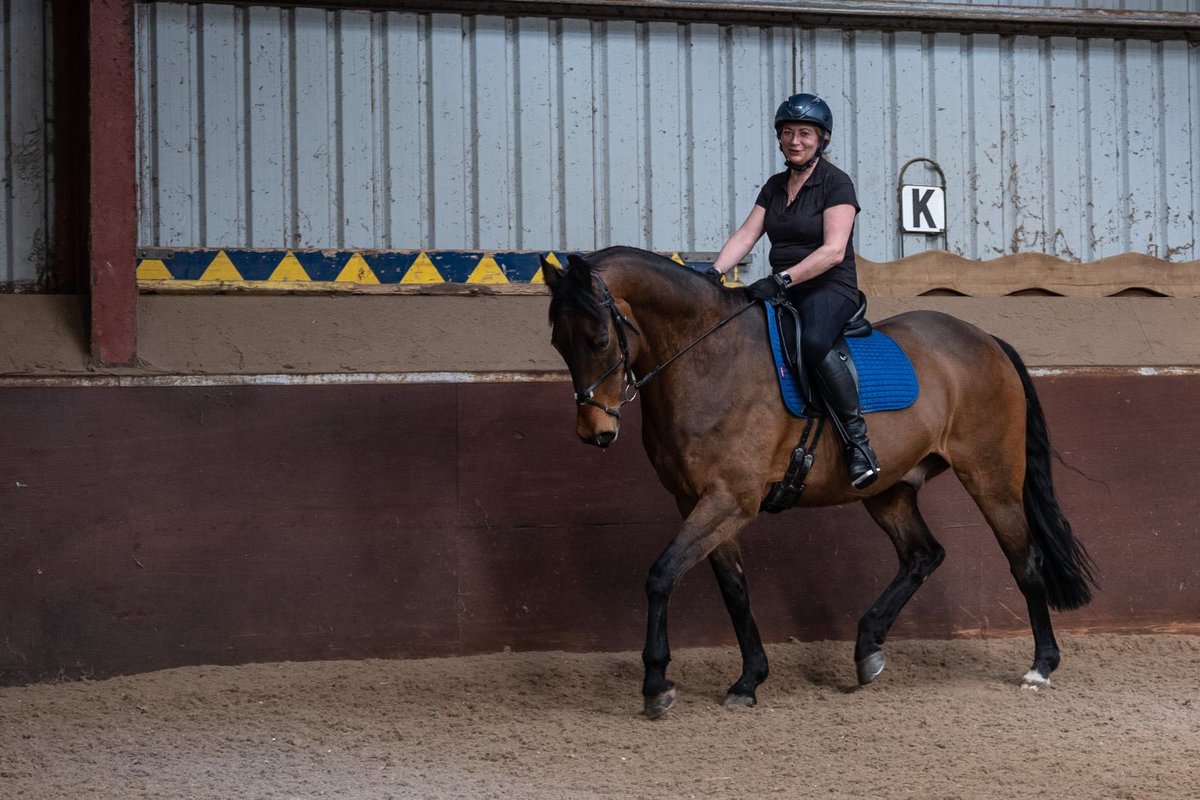 annalomas68's tweet photo. Parker looking fab! Glad I ignored the advice of the vets to have him put to sleep 12 months ago. Just shows what luck, love &amp; care can do! 😊#SundayMotivation #horses https://t.co/eDPmVNTI2o