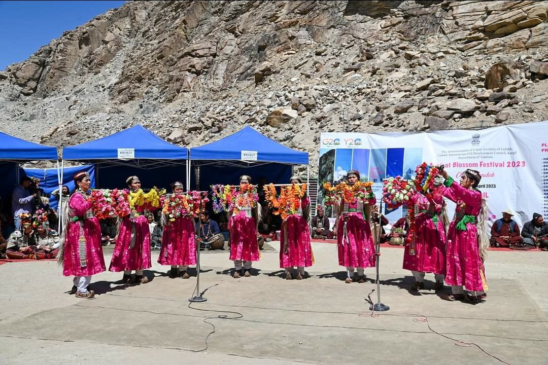 Ladakh Tourism on Twitter "RT PBNS_India In Pictures Glimpses from the 2nd day of Apricot