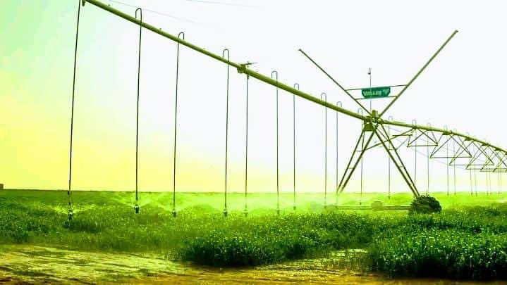 BayeAg1's tweet photo. #Niger :une ferme agricole de 1000 hectares dotée d'un système d'irrigation de derrière génération pour la culture du blé , maïs , luzerne, et le sorgho fourrager. c'est l'un des projets gigantesques du groupe privé Amana du Niger. Un exemple aux entrepreneurs des autres pays. https://t.co/wmEDRyh39Z