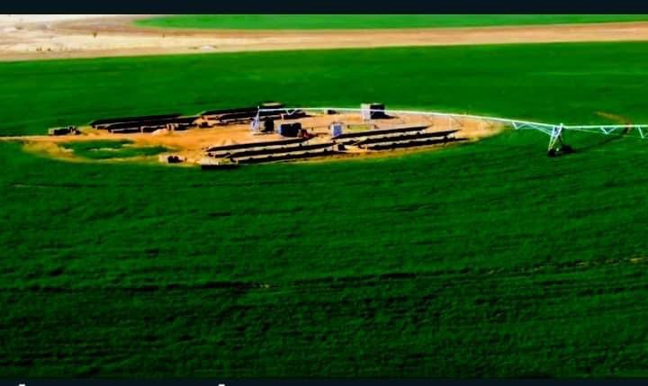 BayeAg1's tweet photo. #Niger :une ferme agricole de 1000 hectares dotée d'un système d'irrigation de derrière génération pour la culture du blé , maïs , luzerne, et le sorgho fourrager. c'est l'un des projets gigantesques du groupe privé Amana du Niger. Un exemple aux entrepreneurs des autres pays. https://t.co/wmEDRyh39Z