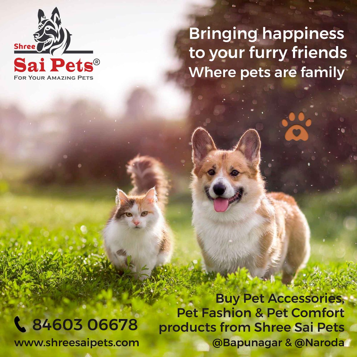 ShreeSaiPets's tweet photo. Bringing happiness to your furry friends, Where pets are family...
WhatsApp: https://t.co/O9zXU6DiQd
#SummerSeason #SummerComfort #PetComfort #PetAccessories #PetProducts #PetComfort #PetFashion #PetSummer #SummerCollection #petSupplies #ShreeSaiPets https://t.co/78Rb3Vmpx5