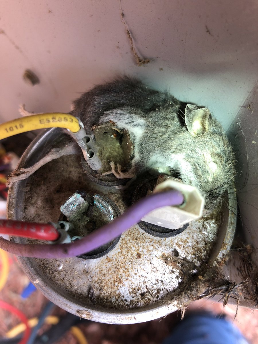 Ol’ WobblyKnee ⚠️ tweet media