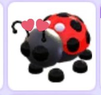 Sam_nzz's tweet photo. ✧⁠* . Ladybug Giveaway!! 🐞💗

🌻Adoptme pet Giveaway!
MECHANICS:
🌻 Follow @Yuriii_xg and @Sam_nzz 
🌻Retweet
🌻Comment done

Hc: Retweet with tags! 🏷️
#adoptme #adoptmeGA #adoptmegiveaways #adoptmeoffers #AMTrading #adoptmepets #Adoptmetrades #adoptmegiveaway

Ends on wed! 💗 https://t.co/4qKjgux70q