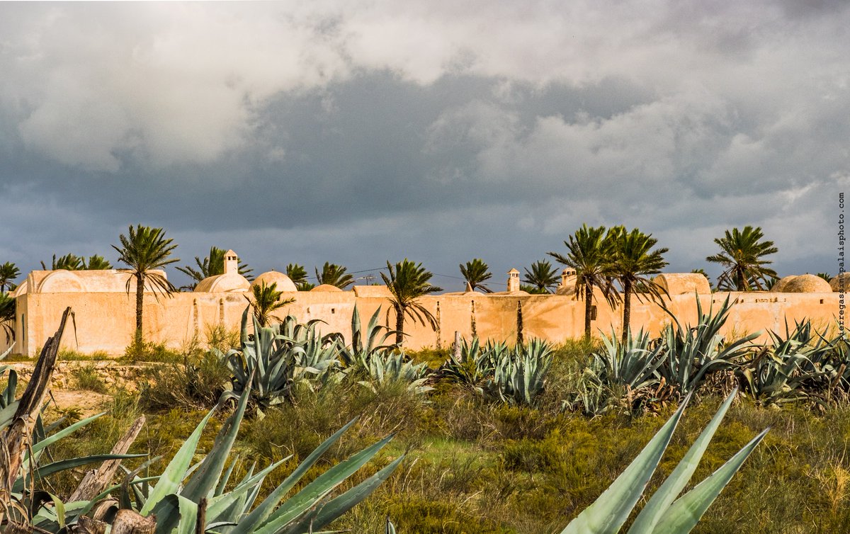 Get Your Fixer tweet media