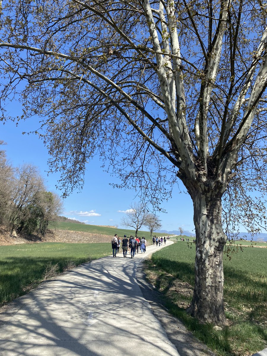 PasquaVic's tweet photo. Amb comunió amb la natura que pateix caminem junts, infants, joves i adults #sembremesperança @PasquaVic @claretiansCAT https://t.co/5x4oTsDiCY