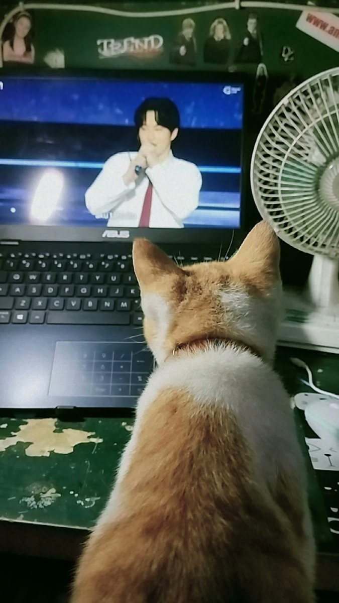 HwangMinRa3's tweet photo. #weareoneEXO
#EXOCLOCK_EXO_FANMEETING 
#11thYEARSWITHEXO 
kucing EXO L 🤣🤣🤣 https://t.co/pqWIGEwHc1