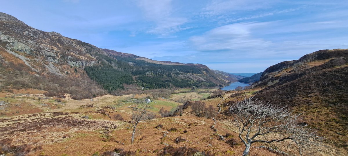 Simon Plant tweet media