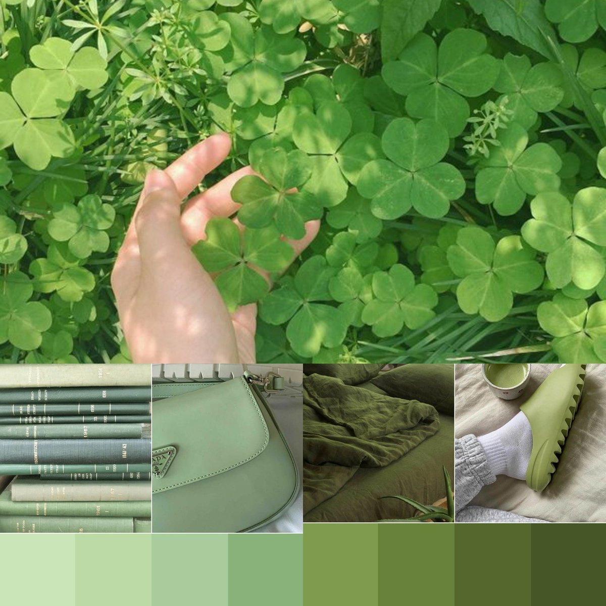Kiwixss_1's tweet photo. @maybeeevirgo This is what I mean when I say I Love colour Green!!☘️ https://t.co/QhqeiVVtLm