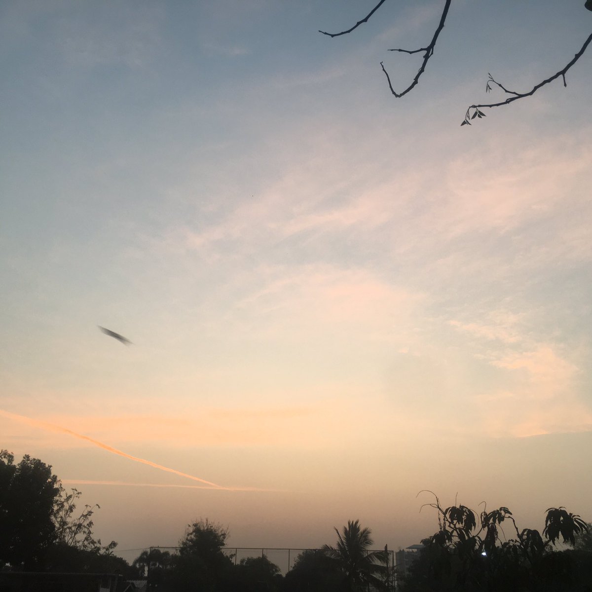 ploykute_BKD's tweet photo. [Twitter]

ร้อนจนเปื่อยหมดแล้ว

 #Social_BKD https://t.co/lsIPHPu6bN