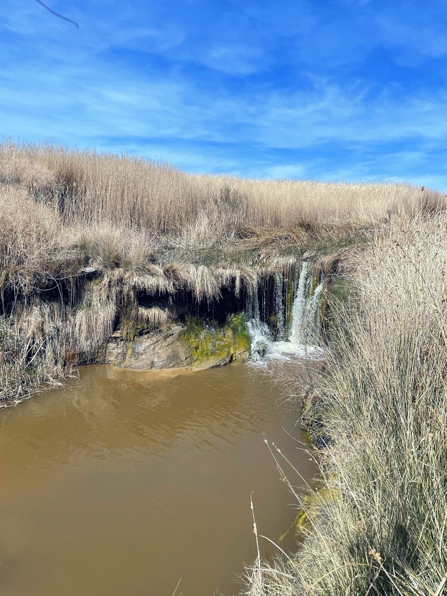 kammi_foote's tweet photo. #Tecopa https://t.co/3JV8rlysKl