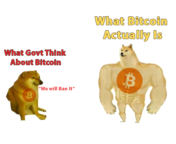 kaniik's tweet photo. @gosatsapp #GoSatsMemeContest #Bitcoin https://t.co/zUOg3kzeNu