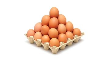 Izbrojite jaja u kartonu! Mozgalica zbog koje većina ljudi promaši tačan broj – proverite da li vi možete!