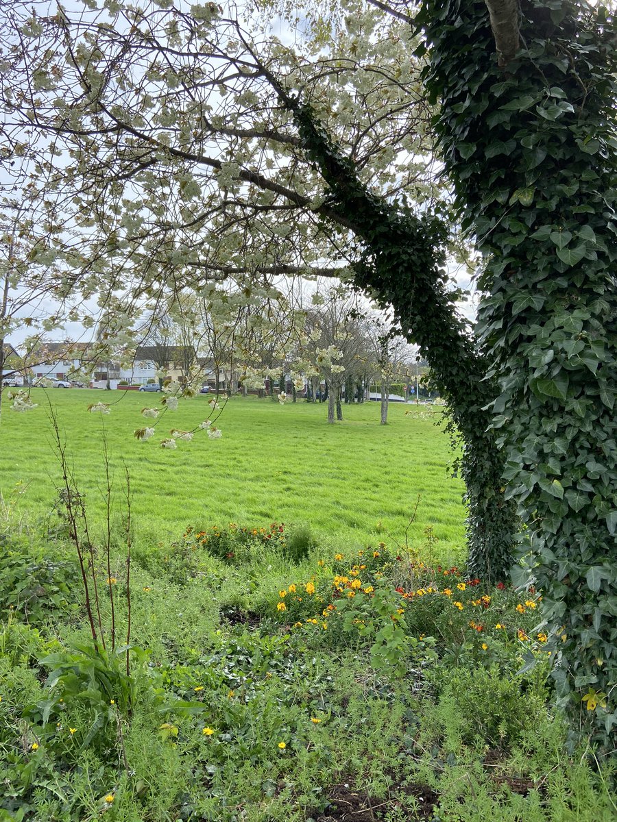 Anna Douglas tweet media