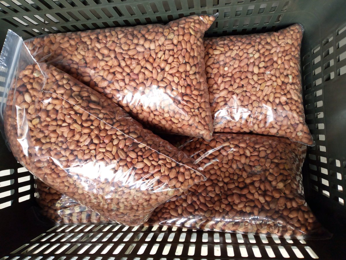 VegetableBasket's tweet photo. @redmarketsunday @iMisred Peanuts 🥜🥜
UpfuHweZviyo ✅
Magogoya ✅
Mbambaira ✅

Buy now on our website ⬇️
https://t.co/mLUvZgqhXZ
#redmarketsunday @iMisred
#vegetables #broccoli #Onions https://t.co/P2OBAcLRRl