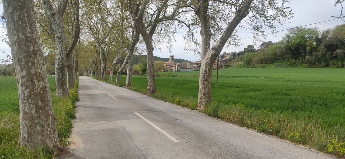jordi_nierga's tweet photo. Si vius al Pla de l'Estany has d'acceptar que formes part d'un fons de pantalla dels d'abantes, una mica. https://t.co/xqKGW3spB4