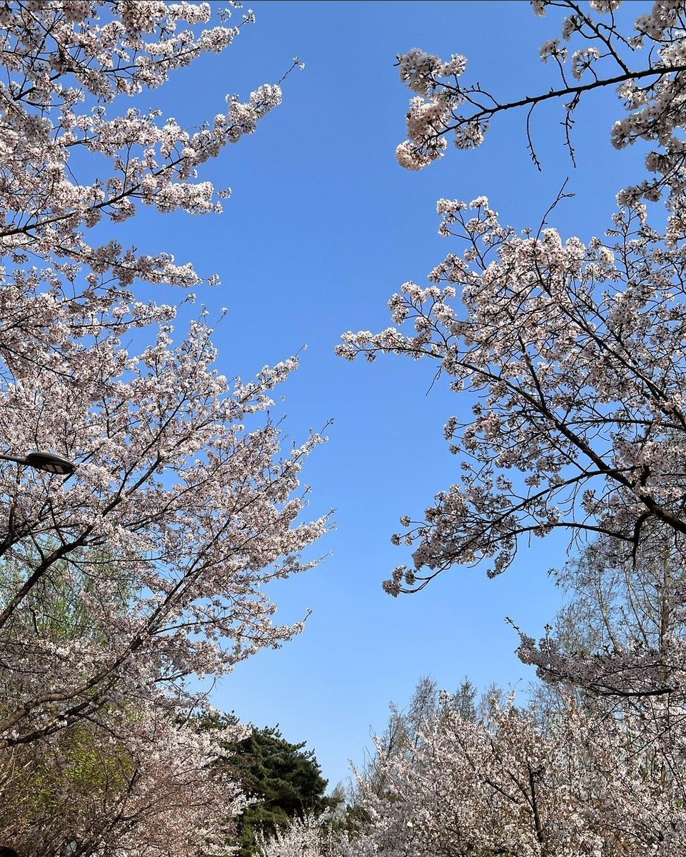 dahlidle's tweet photo. 봄 🌸💐
#Expectations_spring #Expectations #AnneMarie #MINNIE https://t.co/PG2JP47GhW