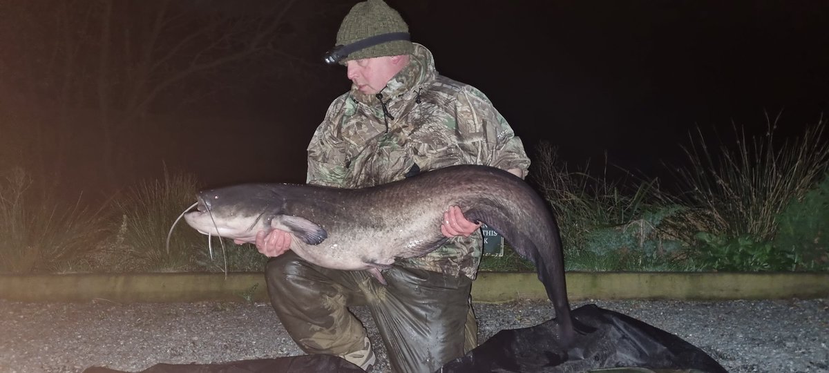 Was'nt expecting to catch with minus temps at night , then this nice dark 47 turned up  , caught on catfish uk baits squid stew pellets.