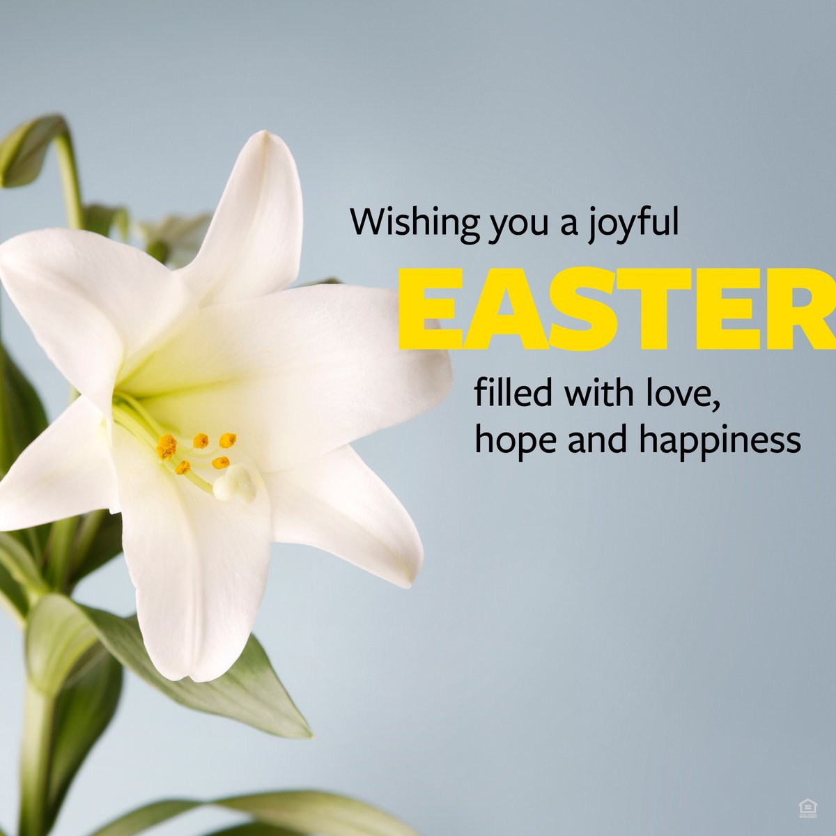 bairdwarner's tweet image. Happy Easter 💐  May your hearts be filled with joy and your homes with peace and happiness. 
.
.
.
.
#bairdwarner #happyeaster  #springvibes