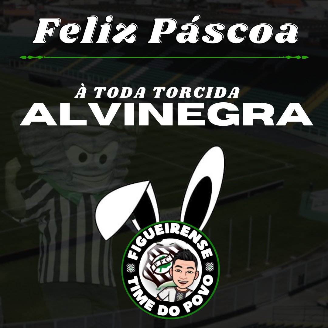 Figueirense Time do Povo (@ronaldodelfino6) on Twitter photo 