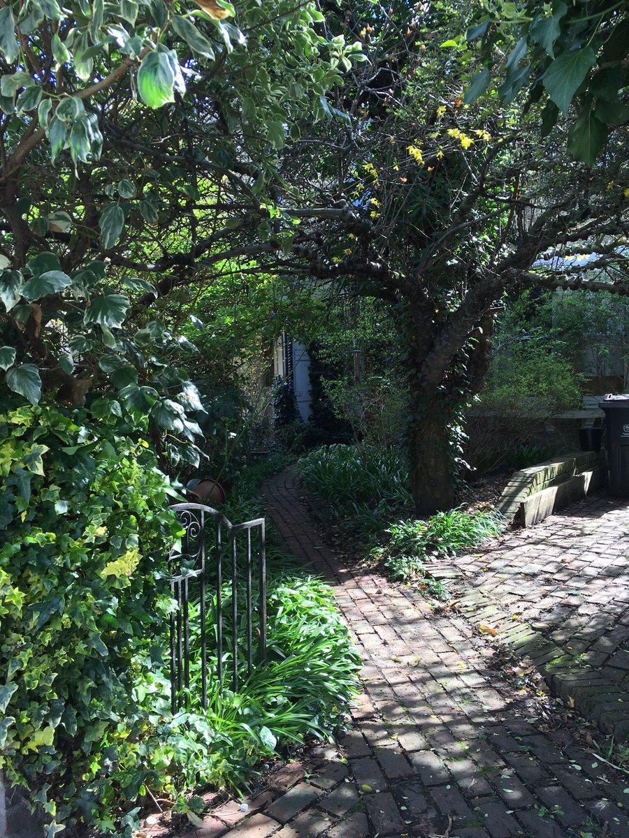 Happy #Easter! This achingly stunning front garden near #Penge shows that humans have the awesome ability to help #nature rise up. 

Whether you’re religious or not, whether you have a garden or not - plant/sow something this weekend. Choose life!

#EasterSunday2023 #wildlife