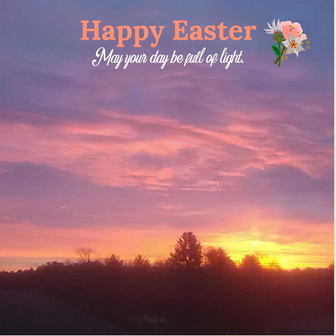 CESaddlery's tweet photo. Happy Easter!
https://t.co/U0NqUt9hrK https://t.co/5onKdqDst5